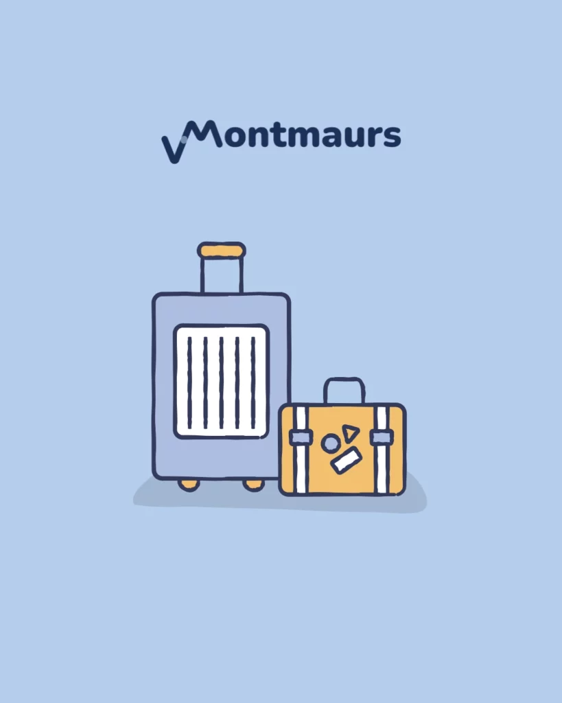 Illustration valise voyage créée par Julie Goudier pour l'identité visuelle de Valentin Montmaurs de l'entreprise VMontmaurs