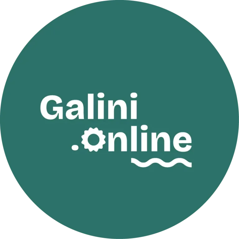 Logo créé par Julie Goudier pour Adèle Feyssat de Galini Online